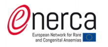 Logo Enerca